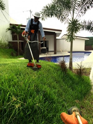 Servicios de Jardinería, Chapea y limpieza de zonas verdes.